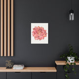 Graptosedum California Sunset Succulent Canvas Print – Botanical Wall Art