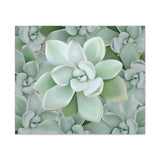 Pachyveria Haagei Succulent Pattern Canvas Print – Botanical Wall Art