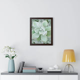 Pachyveria Haagei Succulent Pattern Framed Print – Botanical Wall Art