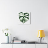 Melting Monstera Albo Canvas Print – Botanical Wall Art