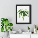 Philodendron Cream Splash Framed Print – Botanical Wall Art