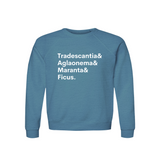 Tradescantia, Aglaonema, Maranta & Ficus Plant Lover Sweatshirt – Organic Cotton Raglan