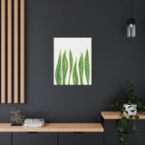 Snake Plant Canvas Print – Botanical Wall Art