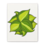 Philodendron Brasil Canvas Print – Botanical Wall Art