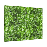 Aglaonema Pictum Canvas Print – Botanical Wall Art