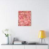 Graptosedum California Sunset Succulent Pattern Canvas Print – Botanical Wall Art