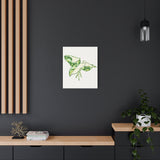 Marble Syngonium Canvas Print – Botanical Wall Art