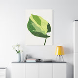 Manjula Pothos Illustrated Canvas Print – Botanical Wall Art