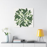 Calathea White Fusion Canvas Print – Botanical Wall Art