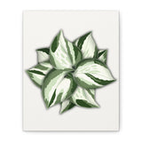 Manjula Pothos Canvas Print – Botanical Wall Art