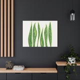 Snake Plant Canvas Print – Botanical Wall Art
