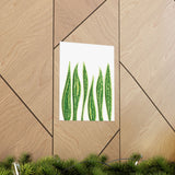 Snake Plant Botanical Print – Unframed Wall Art