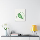 Monstera Albo Canvas Print – Botanical Wall Art