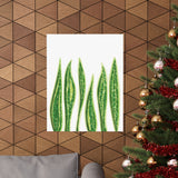 Snake Plant Botanical Print – Unframed Wall Art