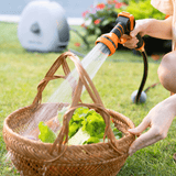 Person watering lettuce in a basket with a garden hose on a grassy area.