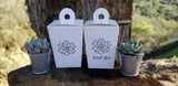 2.5" Rosette Wedding Favor Bulk Succulents