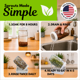 A four-panel instructional graphic titled 'Sprouts Made Simple' showing how to use a clear plastic jar with a white lid for sprout cultivation. The panels show a person pouring water from the jar at a sink, the jar filled with brown sprouts after soaking for 8 hours, rinsing the jar twice daily, and the green sprouts ready to eat in 4-5 days.