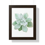 Pachyveria Haagei Succulent Framed Print – Botanical Wall Art