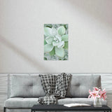 Pachyveria Haagei Succulent Pattern Botanical Print – Unframed Wall Art
