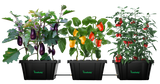 Three potted plants with vegetables growing in them on a white background 1- Self-Watering Raised Bed -  No Accessories