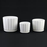 Three white ceramic planters with ribbed design on a black background 3-Piece White Ceramic Planter Pot Set with Fluted Design & Saucers
