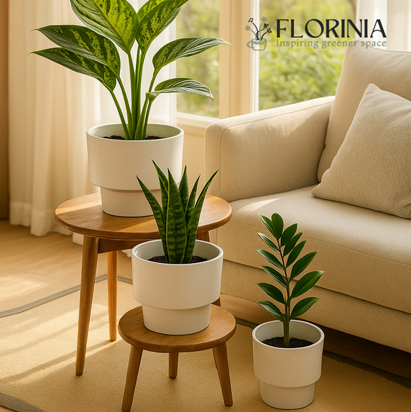 Potted plants on small wooden tables in a living room with 'FLORINIA' branding 3-Piece White Plastic Planter Pot Set – Modern Pedestal Base