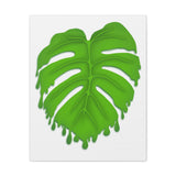 Melting Monstera Canvas Print – Botanical Wall Art