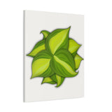 Philodendron Brasil Canvas Print – Botanical Wall Art