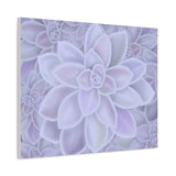Graptopetalum Murasaki Succulent Pattern Canvas Print – Botanical Wall Art