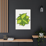 Philodendron Brasil Canvas Print – Botanical Wall Art