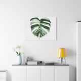 Melting Monstera Albo Canvas Print – Botanical Wall Art