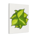 Philodendron Brasil Canvas Print – Botanical Wall Art
