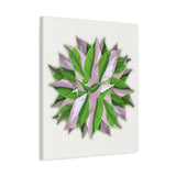 Syngonium Tricolor Pattern Canvas Print – Botanical Wall Art