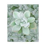 Pachyveria Haagei Succulent Pattern Canvas Print – Botanical Wall Art
