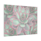 Echeveria Violet Queen Succulent Pattern Canvas Print – Botanical Wall Art