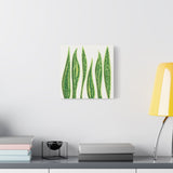 Snake Plant Canvas Print – Botanical Wall Art