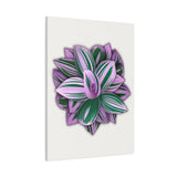 Tradescantia Nanouk Canvas Print – Botanical Wall Art