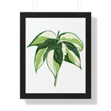 Philodendron Cream Splash Framed Print – Botanical Wall Art