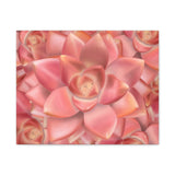 Graptosedum California Sunset Succulent Pattern Canvas Print – Botanical Wall Art