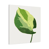 Manjula Pothos Illustrated Canvas Print – Botanical Wall Art