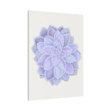 Graptopetalum Murasaki Succulent Canvas Print – Botanical Wall Art