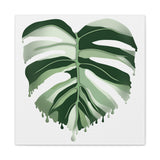 Melting Monstera Albo Canvas Print – Botanical Wall Art