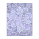 Graptopetalum Murasaki Succulent Pattern Canvas Print – Botanical Wall Art