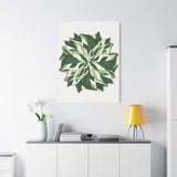 Calathea White Fusion Canvas Print – Botanical Wall Art