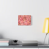 Graptosedum California Sunset Succulent Pattern Canvas Print – Botanical Wall Art