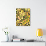 Noble Aeonium Succulent Pattern Canvas Print – Botanical Wall Art