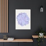 Graptopetalum Murasaki Succulent Canvas Print – Botanical Wall Art