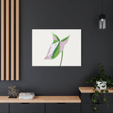 Syngonium Tricolor Canvas Print – Botanical Wall Art