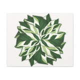 Calathea White Fusion Canvas Print – Botanical Wall Art