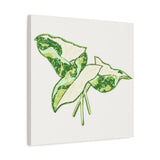 Marble Syngonium Canvas Print – Botanical Wall Art